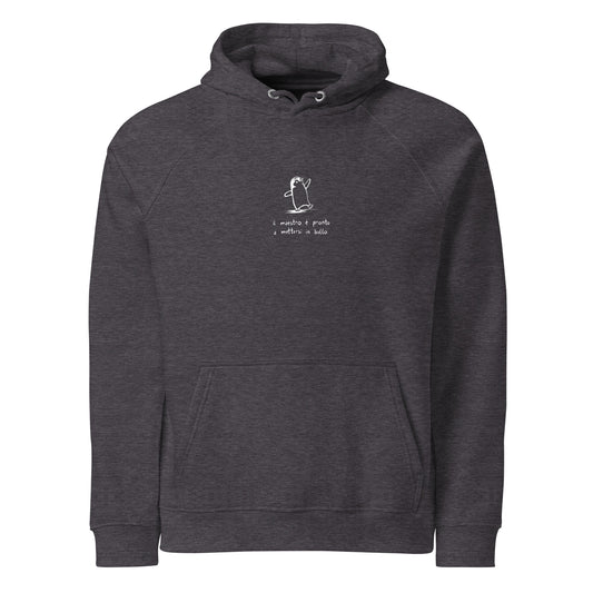 Maestro Ballo felpa - Grigio - front